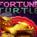 Fortune Turtle
